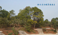 �����B(t��i)�����B(y��ng)ֳ�@�^(q��)